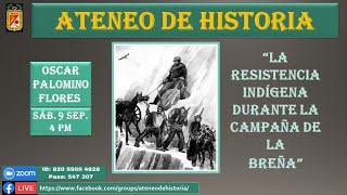 LA RESISTENCIA INDIGENA DURANTE LA CAMPAÑA DE BREÑA [upl. by Htidirrem]