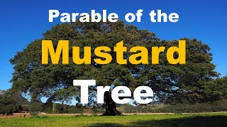 Parable of the Mustard Seed Tree  An Important Spiritual Lesson  Faith [upl. by Limemann]