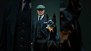 Peaky Blinders Thomas Shelby e Seu Leal Doberman 🌫️🐕quot [upl. by Teresita648]