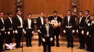 Rainbow Connection  The Yale Whiffenpoofs of 2014 [upl. by Ioyal]