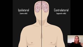 Ipsilateral vs Contralateral [upl. by Anirak]