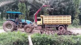 Tractors Grabber and 4x4 Truck on Plan Plantation [upl. by Elocaj]