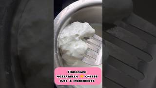 Mozzarella cheese 🧀 making just 2 ingredients cheese manamwithsathya ytshort [upl. by Michele]