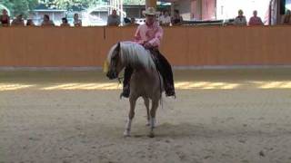 NRHA 2010 Emanuel Ernst mit Haflinger Nico [upl. by Notned]