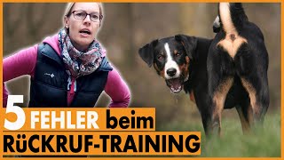 Hund kommt nicht I 5 häufige Fehler beim Rückruftraining I Das solltest du unbedingt vermeiden [upl. by Gabbi968]