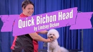 Bichon Head Grooming Demo by Lindsey Dicken [upl. by Anna-Diane]