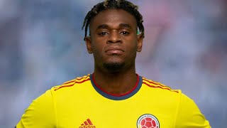 Duvan Zapata ● Best Goals amp Skills 🇨🇴 [upl. by Dnallor]