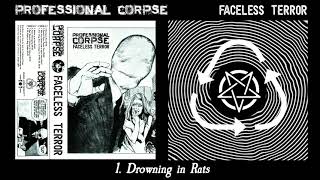 Professional Corpse  Faceless Terror full album dsbm plunderphonics blackmetal [upl. by Aicatsana]