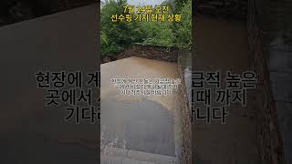 선수핑 기지 긴급 휴무입니다 푸바오와 다른 판다들은 괜찮다고 합니다 푸바오 fubao 선수핑 [upl. by Urial]