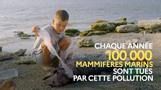 Un décret contre la pollution des granulés plastiques industriels [upl. by Aramois]