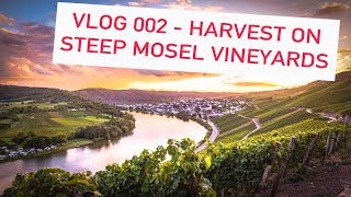 VLOG 002  HARVEST ON STEEP MOSEL VINEYARDS [upl. by Naerb]