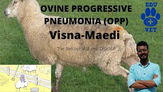 Ovine Progressive PneumoniaVISNAMAEDI [upl. by Dona]