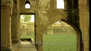 Tej Sagar a 200 year old monument in Rewari Haryana [upl. by Ybba]