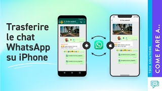 Come trasferire chat WhatsApp da Android a iPhone in modo semplice e veloce Aggiornato [upl. by Attelliw801]