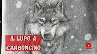 Lupo a carboncino [upl. by Draper174]