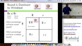 Mendel amp Basic Genetics [upl. by Christabelle]