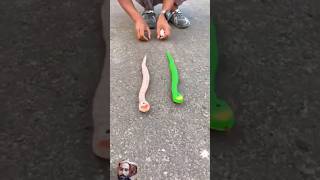 remote control snake 🐍  toys unboxing shorts youtubeshorts [upl. by Haikan]