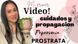 Quien soy  Cuidados y propagación de Peperomia Prostrata [upl. by Eustashe]