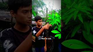 বন্দক 🤣🤣  bondhok  funny video  shortvideo comedy [upl. by Elbag315]