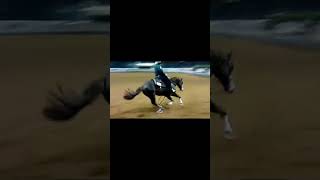 TOP 10 REINING BREEDING LEGENDS horses reining reininghorse [upl. by Adnaloy]