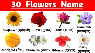 Flowers name  30 फूलो के नाम  Flowers name in English and Hindi  Flowers vocabulary [upl. by Sina391]