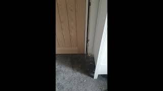 How to Fix a Big Door Gap carpentry woodworking tips [upl. by Arinaj]