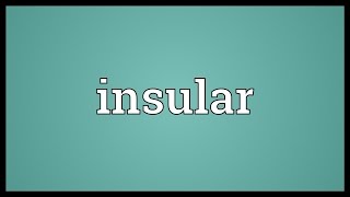 Insular Meaning [upl. by Cartwright]