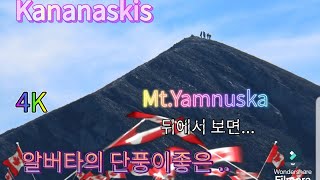 Yamnuskamt kananaskis hiking캐나다 록키 트래킹Calgary산악 동호회 산행 [upl. by Thordis]