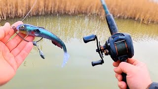 Winter Pike fishing with Weedless lures Savage Gear goby shad [upl. by Bridget788]