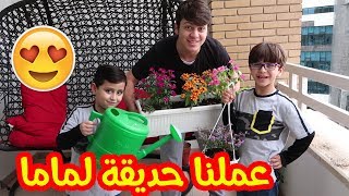 أسهل طريقة لزراعة ورود الدار مع جاد واياد [upl. by Scornik]