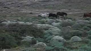 SARDEGNA  Isola dell Asinara in MTB [upl. by Jereld]