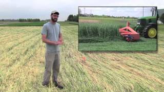 Sustainable Farming Methods Cover Crops amp Striptill Row Covers and Pest Scouting [upl. by Finkelstein]