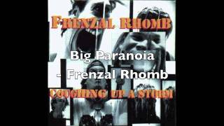 Big Paranoia  Frenzal Rhomb [upl. by Aivatco659]