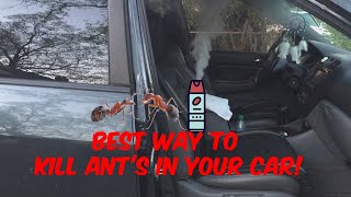 How To Remove Ants From Car Acura MDX [upl. by Nwonknu]