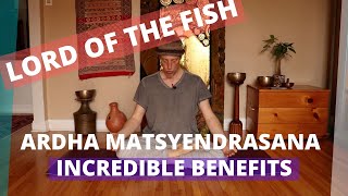 Ardha Matsyendrasana vs Marichyasana 2 incredible yoga poses [upl. by Now]