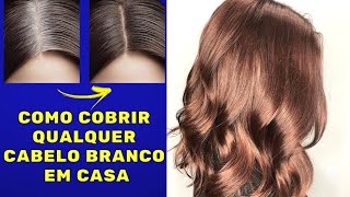 COMO COBRIR QUALQUER CABELO BRANCO  Segredo de Salão [upl. by Bencion]