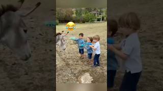 Baby Reactions to Animal Surprises 😂🐶🐱MyPetsie amp adamelea1 [upl. by Lizzie]