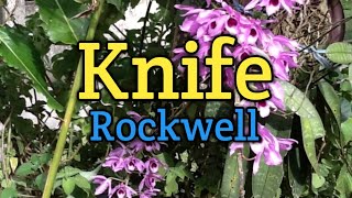 KNIFE  Rockwell Lyrics Video [upl. by Nyroc]