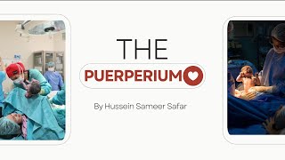 Puerperium part 1 🤰🏼 [upl. by Lemert474]