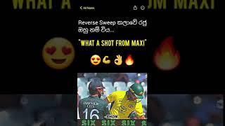 Mixwell💀🔥💪 srilankancricketyoutube shortvideo youtubeshorts glennmaxwell [upl. by Kiryt]