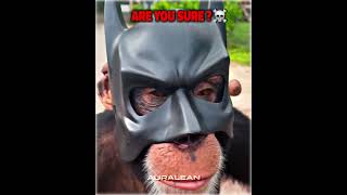 Best Batman Cosplay Moments☠️☠️ [upl. by Nnaeoj]