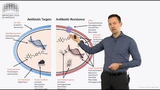 Generell antibiotika 3 Resistens [upl. by Ennaus842]