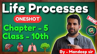 Life Processes class 10 Science Biology  CBSE NCERT  Oneshot [upl. by Lynna359]