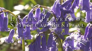 Lenten Prayer for Spiritual Renewal HD [upl. by Dorrahs581]