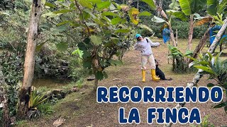 Recorriendo la finca a ver qué hay de nuevo  Candy Bu [upl. by Briney864]