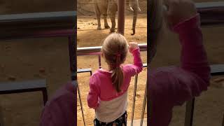 Sonntagsausflug  Opel Zoo mamaleben familyvlog family vlog [upl. by Werdnael]