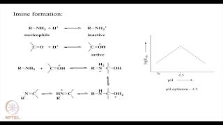 Mod01 Lec18 Acid Base Catalysis [upl. by Frodin524]