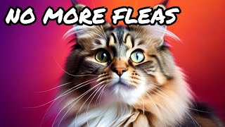 Shocking Secret Behind a FleaFree Cat [upl. by Shaner939]