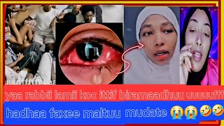 yaa rabbii lamii koottif birmaadhuf uuuffii hadhaa faxee maltuu mudatee 😭 [upl. by Urian145]