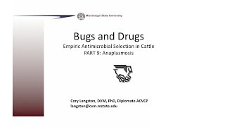 Empirical Antimicrobial Therapy in Cattle Part 9 Anaplasma [upl. by Outhe]